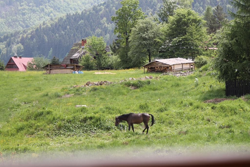 Viva Maria Apartamenty Zakopane Eksteriør bilde