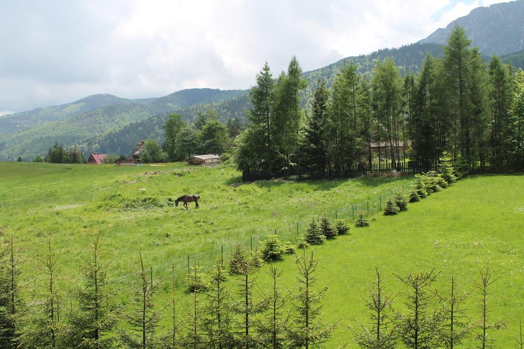 Viva Maria Apartamenty Zakopane Eksteriør bilde