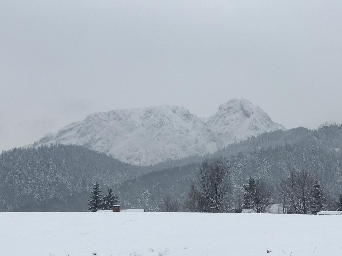 Viva Maria Apartamenty Zakopane Eksteriør bilde